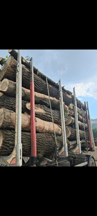Lemn foc stejar 400 mc