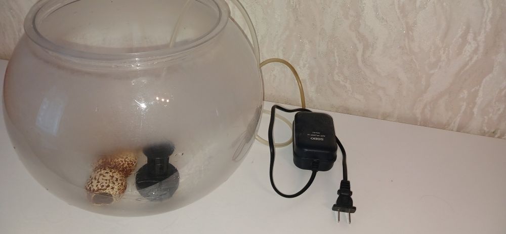 Аквариум, моторчик,ракушка.