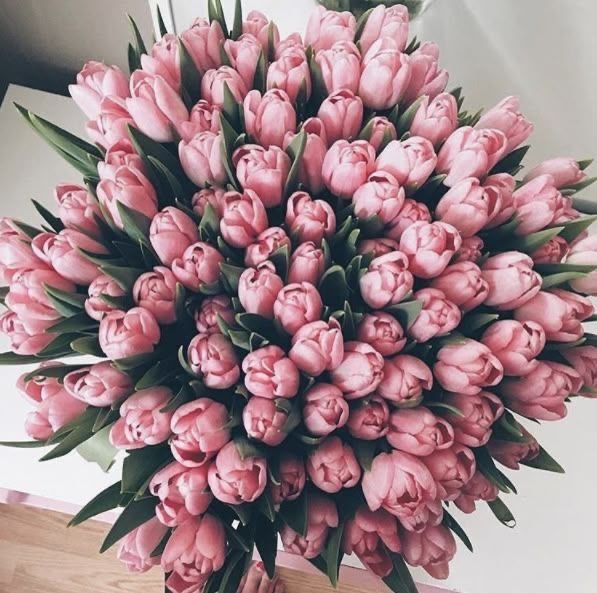 Тюльпаны оптом цветы