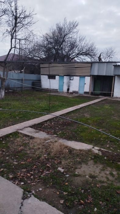 продаются дом в шубарсу