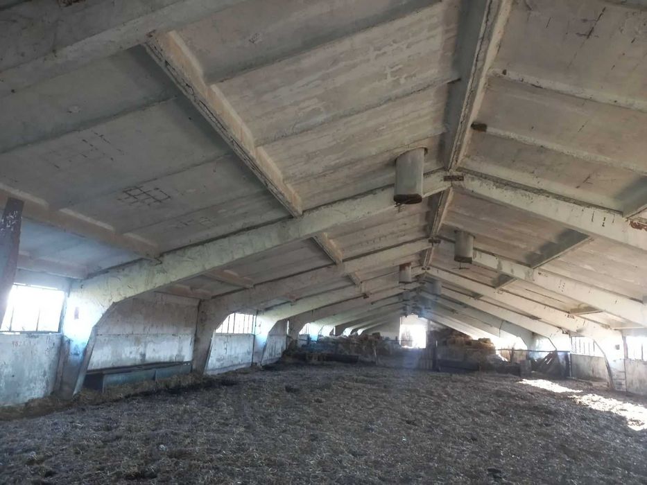 Продава се Склад в Добрич, Добротица - Албенска - 1100 кв.м за 56 €/кв.м - Снимка #4