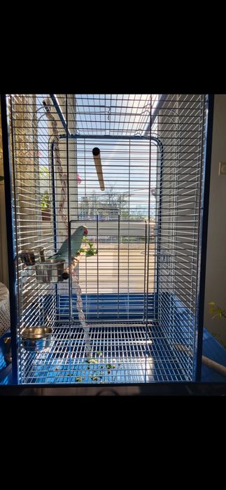 Голяма клетка за папагали