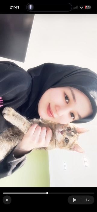 Mushuk yoqoldi risoviy taraflada topgan odamga 500 000 beriladi