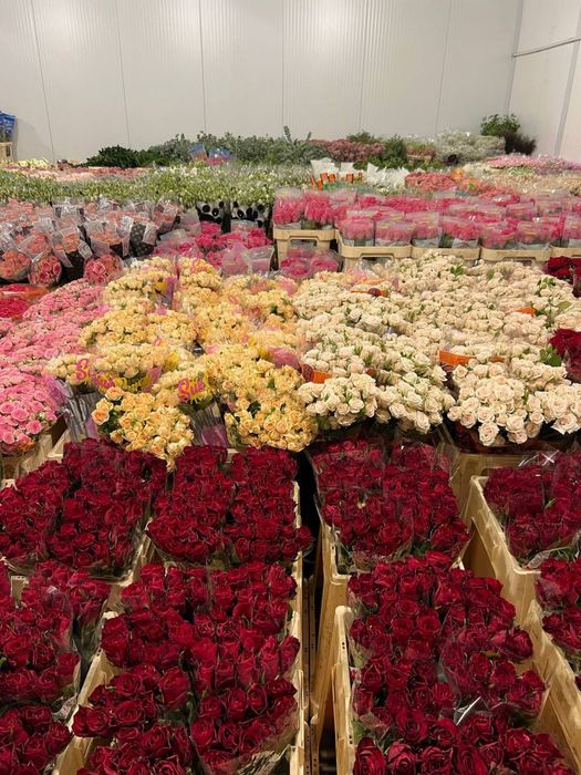 Букеты роз,розы на праздник