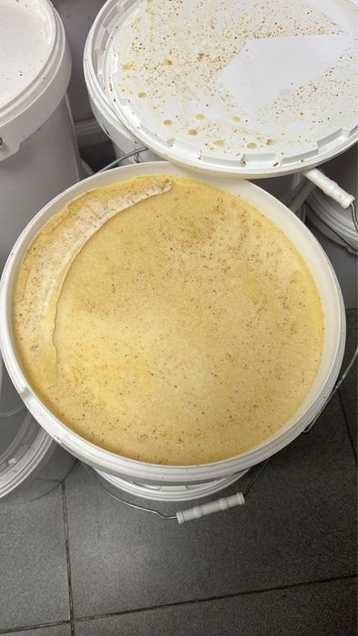 Свежий мёд 2025год  !