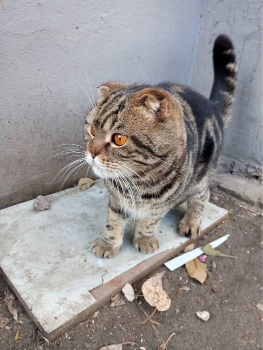 В надежные руки