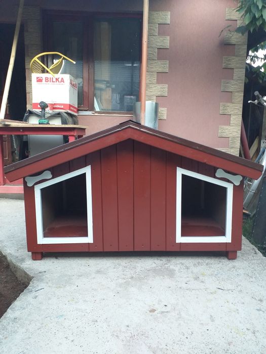 Cusca caine pisică Transport gratuit