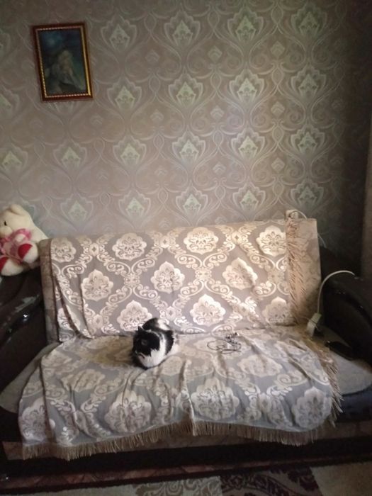 Продам диван и кресло б/у