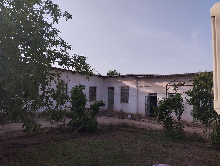 Sputnik hovliga ijaraga qo'yamiz