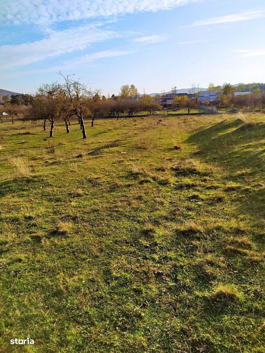Proprietar Teren intravilan DE VÂNZARE Campina-PH (negociabil)