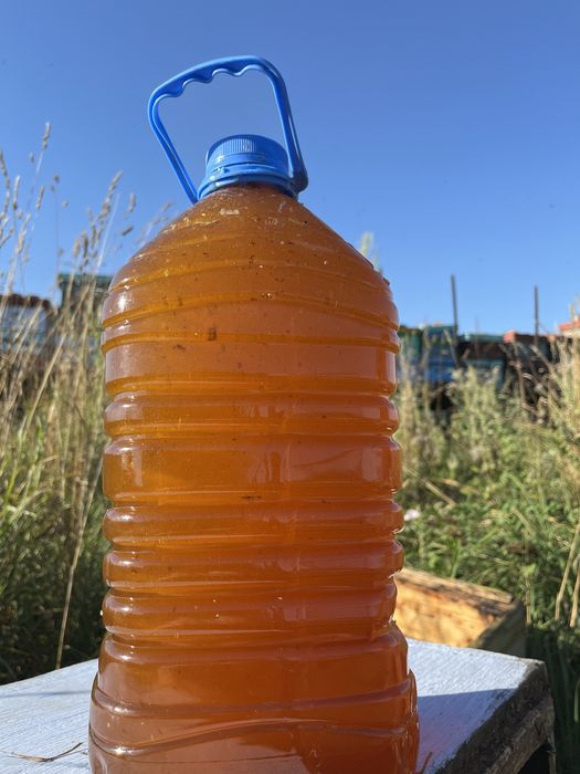 Мёд 2025года !!! С доставкой.