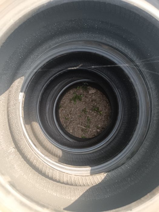 Продам Резина triangle