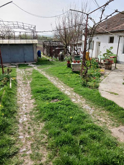 Tarnaveni - Gospodarie de vanzare