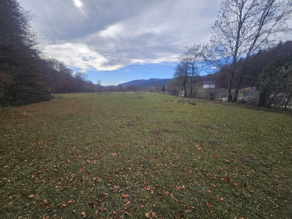 Teren  Valea Doftanei