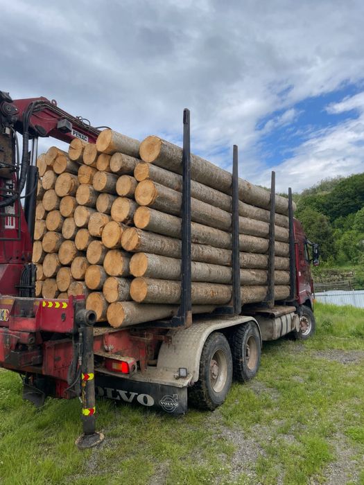 Lemn foc esenta tare Fag,Stejar, Carpen, Salcam