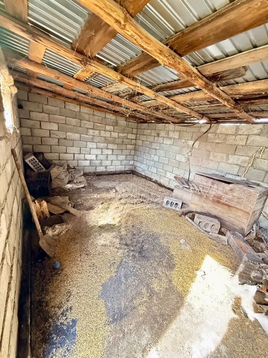 Бурабайский район. с. Златополье