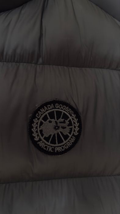 Vesta canada goose neagra