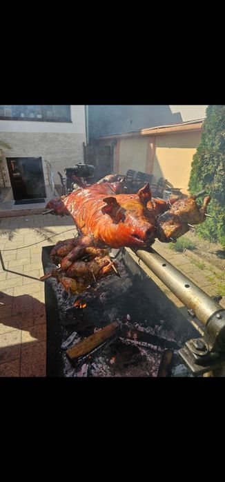 Proțap evenimente