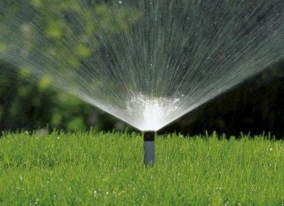 Автополив ва газон