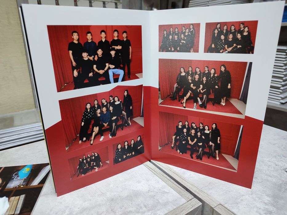 Винетки качечтвенные