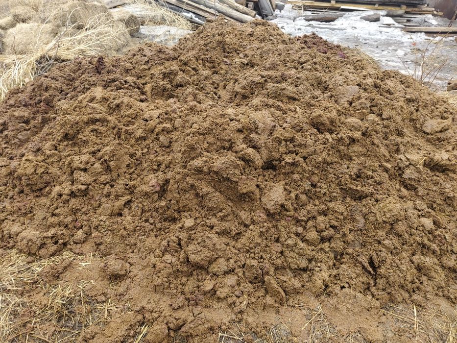 Навоз лошадиный самовывоз