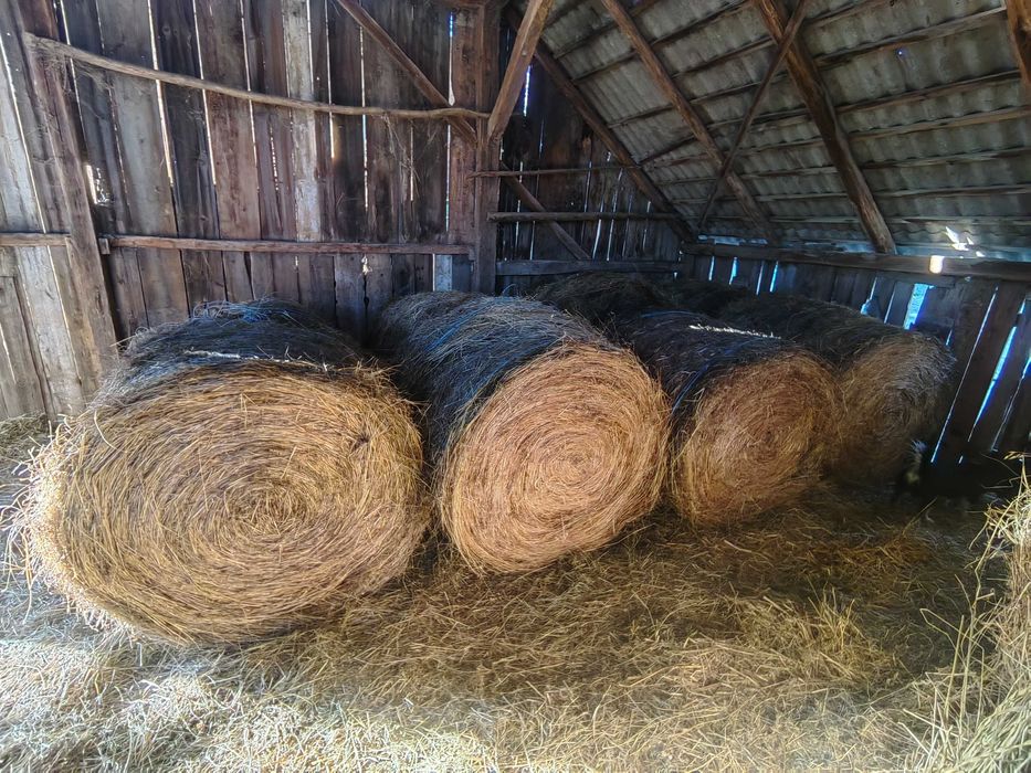 Balot de fan de vanzare