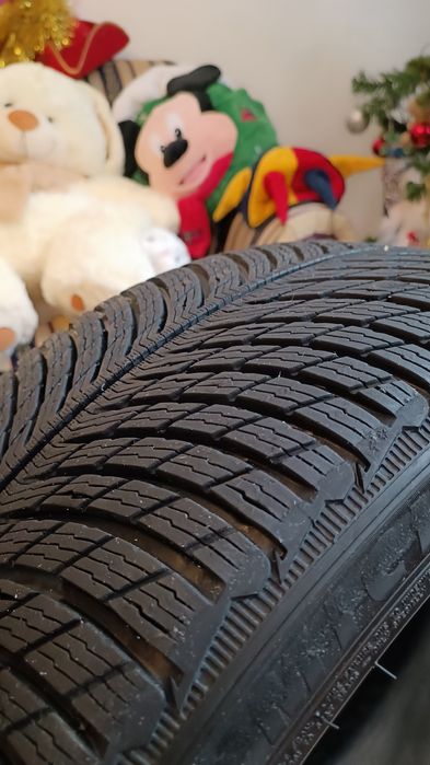 Резина Michelin Pilot Alpin 5