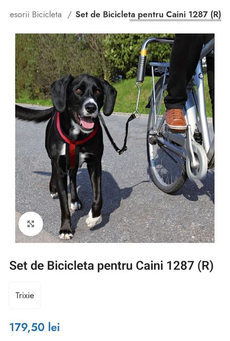Bike dog lead /accesoriu bicicleta pt caini