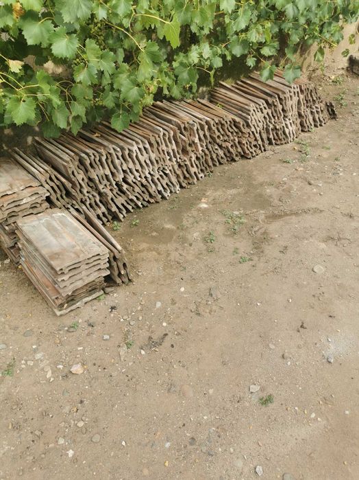 Vând tiglă 2 lei negociabil