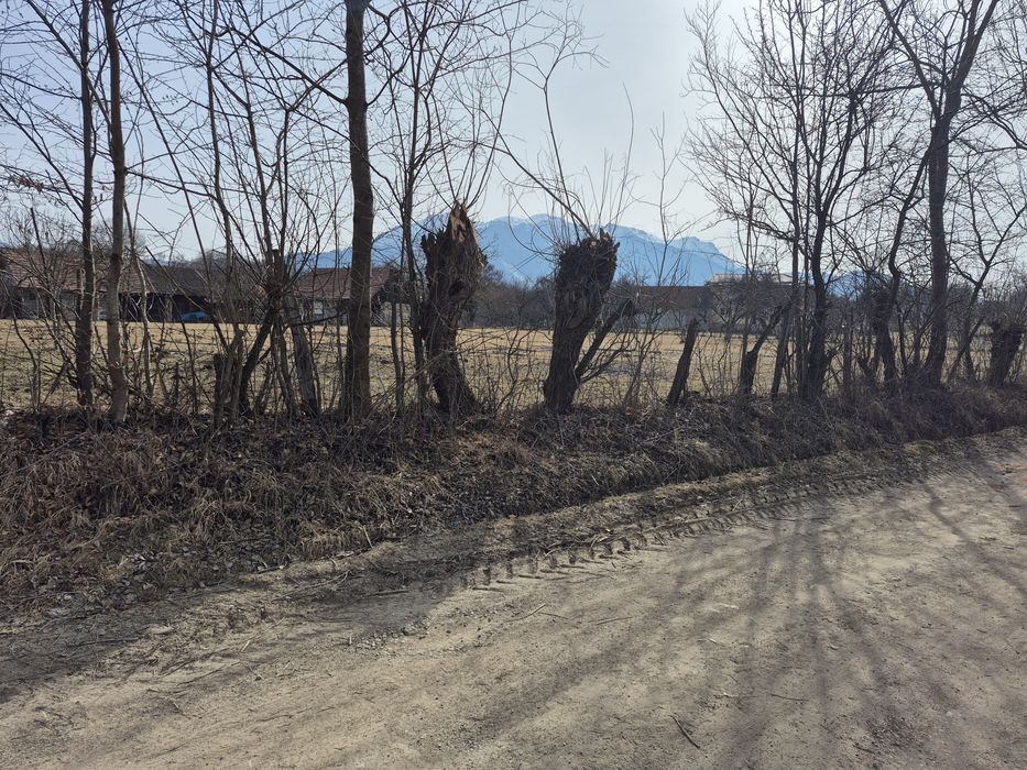 Teren Intravilan 1965mp Bran