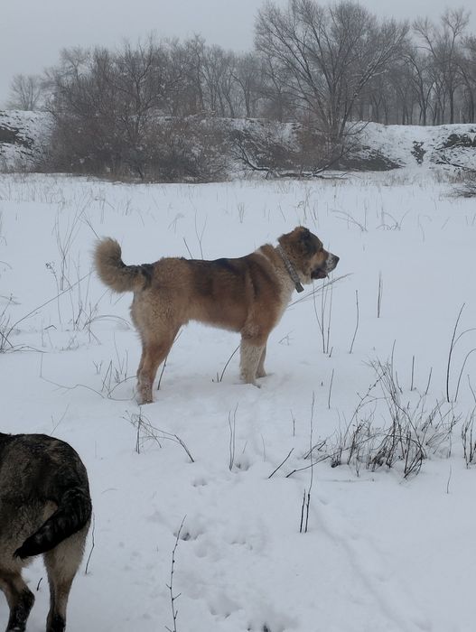 Открыт для вязок