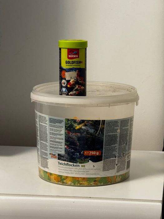 Vând Acvariu 60l Complet Decorațiuni și Pești