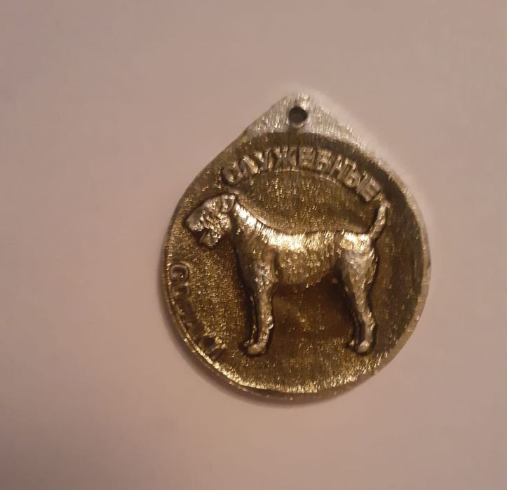 Эрдельтерьер порода