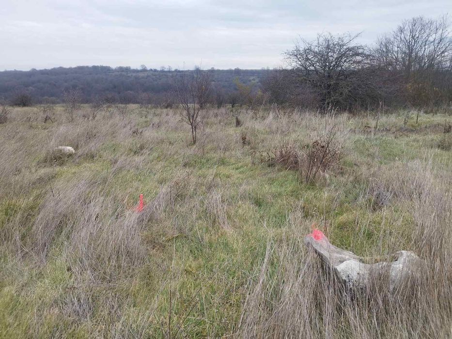 Продава се Парцел в к.к. Слънчев бряг - 3000 кв.м за 7 €/кв.м - Снимка #3