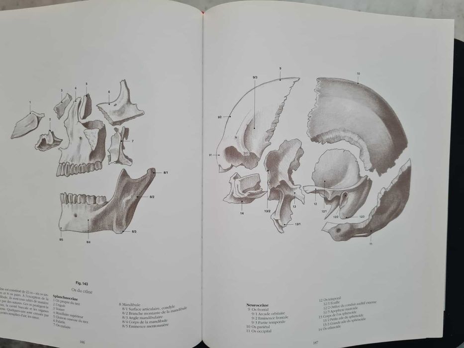 Carte rară – Anatomie Artistică Szunyoghy (2007)