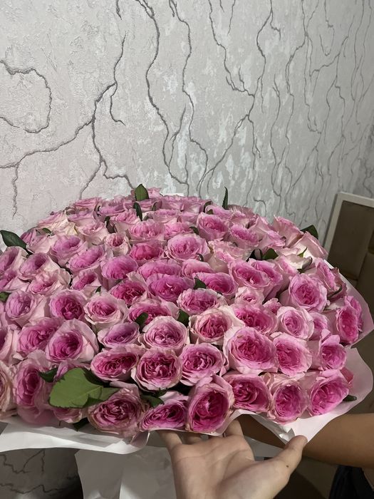 101 роза шымкенттт