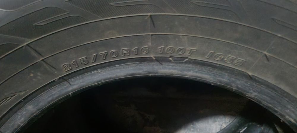 Шипованная резина GOODYEAR