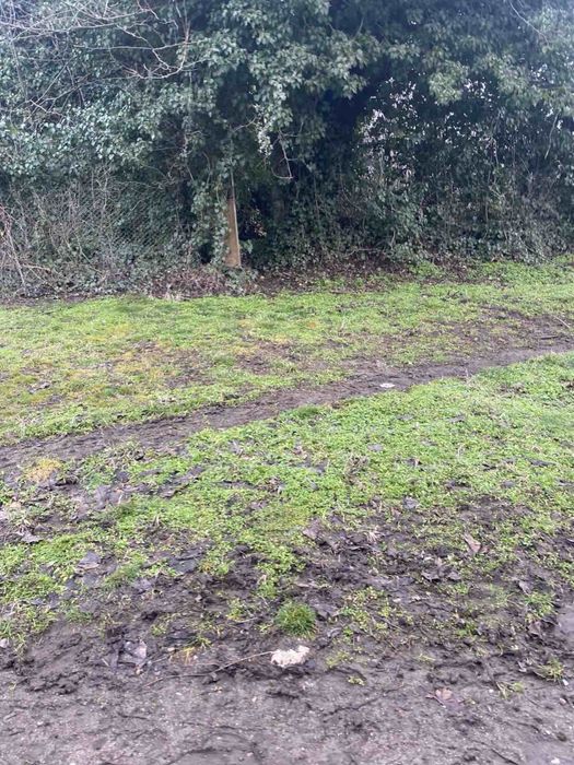 Продава се дворно място в регулация 2250 кв. м. На ъгъл - с. Селановци