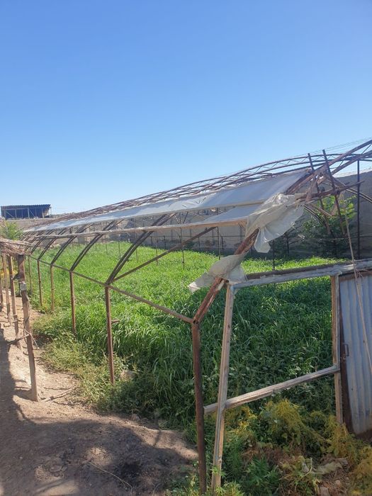 Иссикхона турбалари