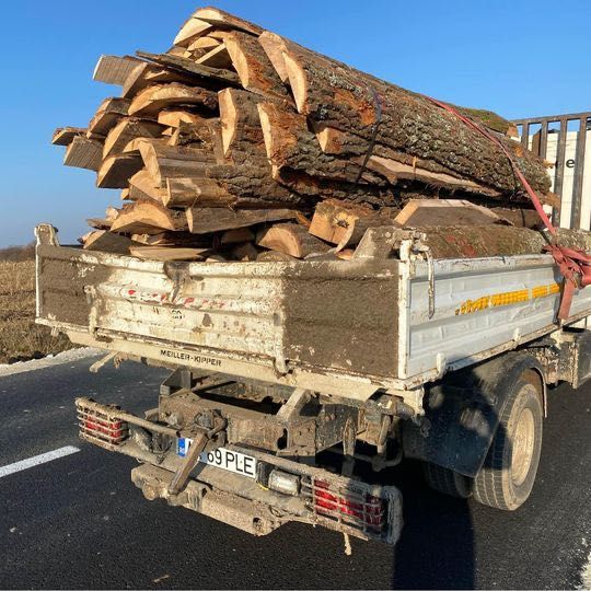 Marginari și deșeuri lemn de foc