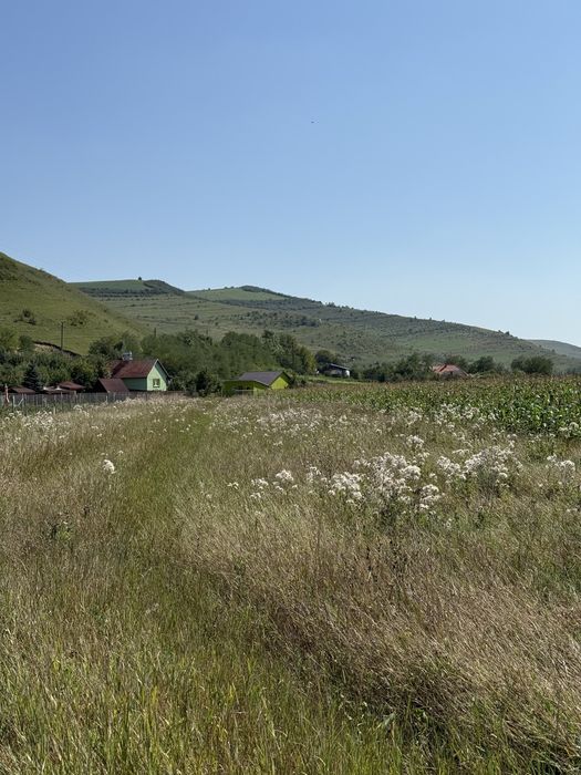 Teren pentru cabana Caianu