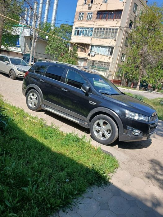 Qora captiva xolati yaxshi