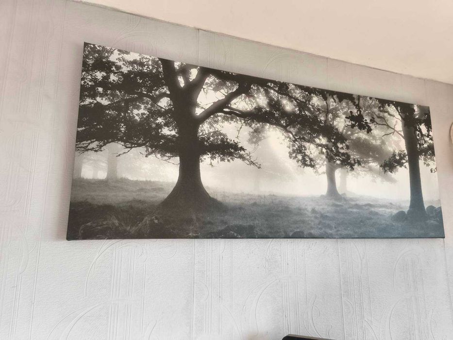 Голяма Картина с размер 100х40см