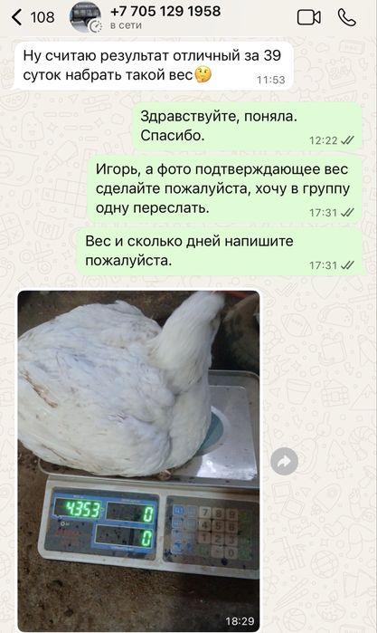 Комбикорм «Мичуринский» полнорационные корма