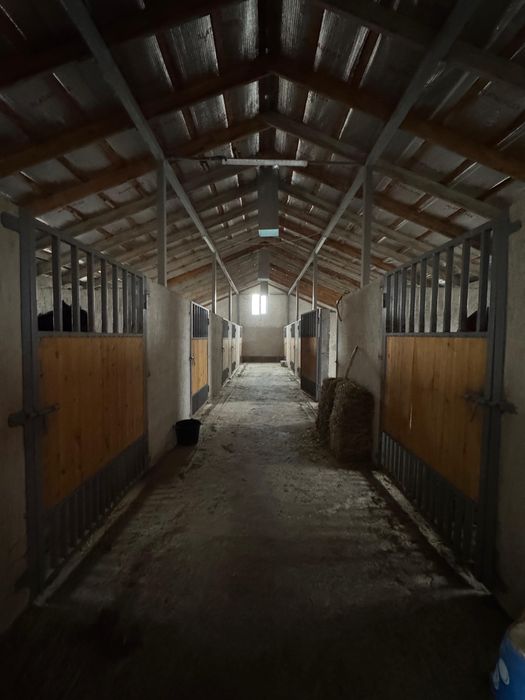 Жаңа Конюшня, Фазенда сатылымда.