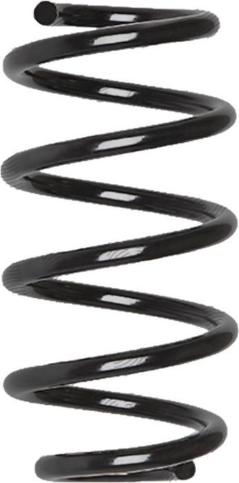 Arc suspensie Dacia Logan Express (FS) 2007-2012, Logan Mcv (KS) 2007-2012; Renault Logan 1 Estate (KS) 2007-2012, montare: punte spate, OE 6001548954, W-Series