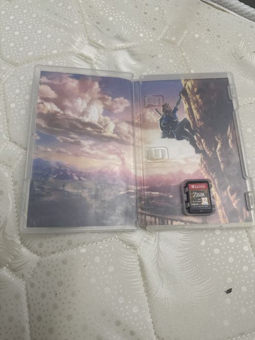 нинтендо свич , Nintendo Switch