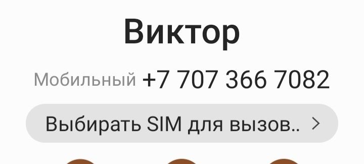 Продам жиребых кабыл