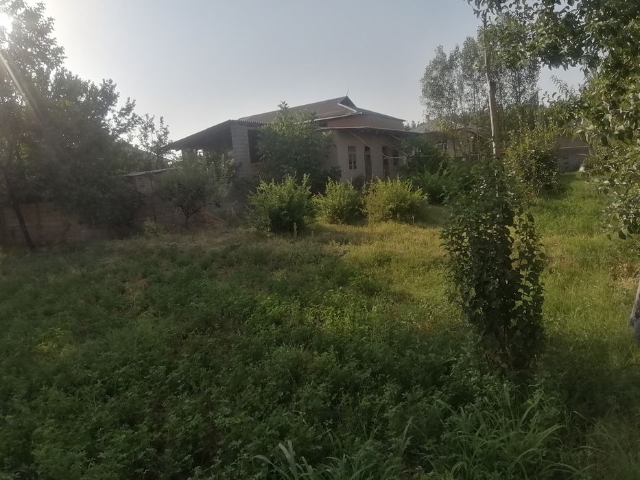 Kitob tumani Navqot qishlog'ida joylashgan 8 sutuk uy joy uchastkasi