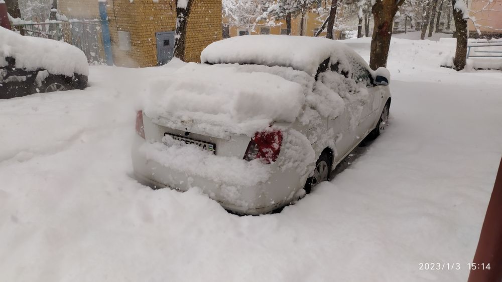 Ижарага уй оилага ва баксерларга. Янгиобод янгиабад федерация бокс